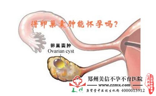 郑州美信医院