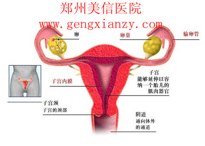 排卵障碍