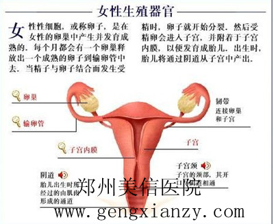 女性不孕