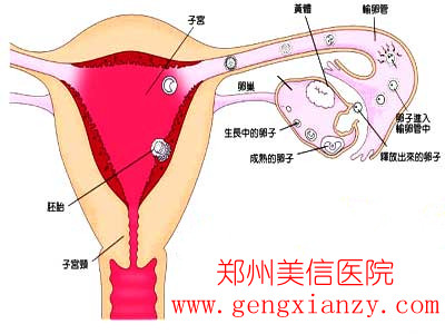 月经不调