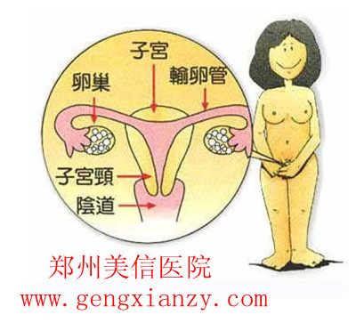 月经不调