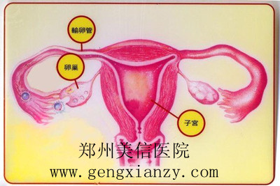 免疫性不孕