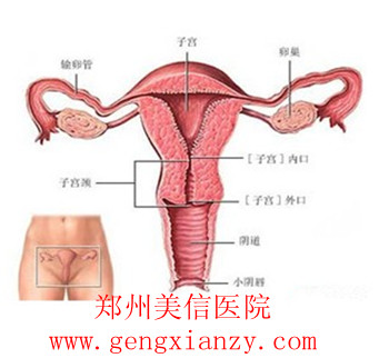 免疫性不孕