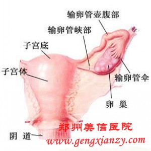 不孕不育
