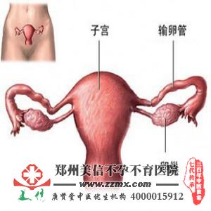女性不孕