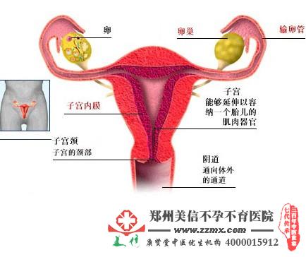 输卵管堵塞