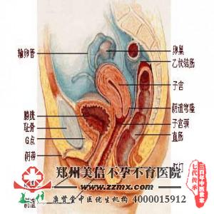 免疫性不孕